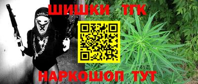 МДПВ Камышлов