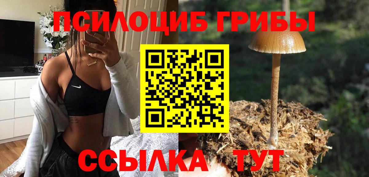 Котлас  купить наркотик  Псилоцибиновые грибы мухоморы  Вход с VPN  Галлюциногенные грибы ЛСД 